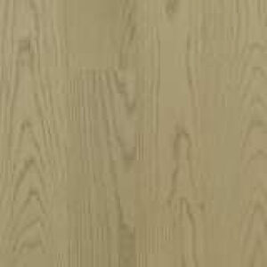 aAbptNRs1Lywhob7H4cveYbnMsHfa4q1400_400-1
